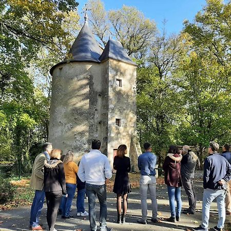 Chateau De Mornay Saint-Pierre-de-l'Isle 외부 사진